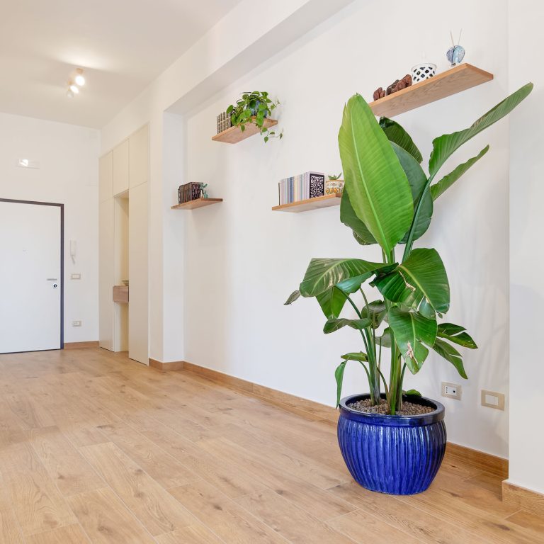 Susanna Boutique Home - Vico Equense Apartment - Sorrento Coast Accomodation 14