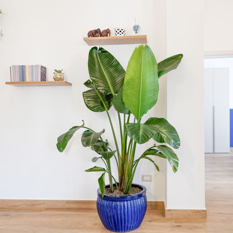 Susanna Boutique Home - Vico Equense Apartment - Sorrento Coast Accomodation 18